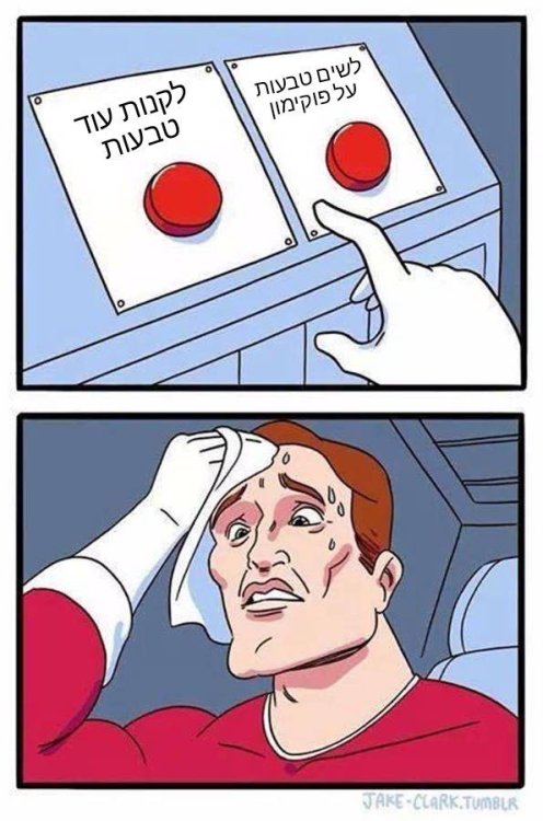 Daily Struggle 17022025122910.jpg